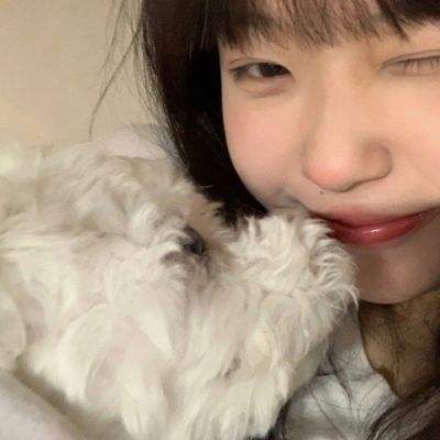 外交部:台参与国际组织活动必须按照一个中国的原则来处理